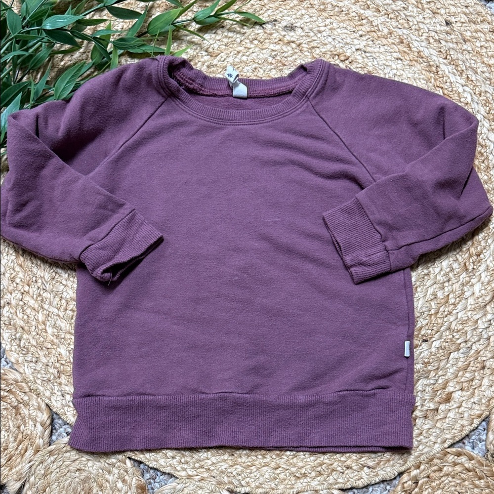 BabySprouts Bamboo Boxy Mauve Purple crew Sweatshirt. Size 2T